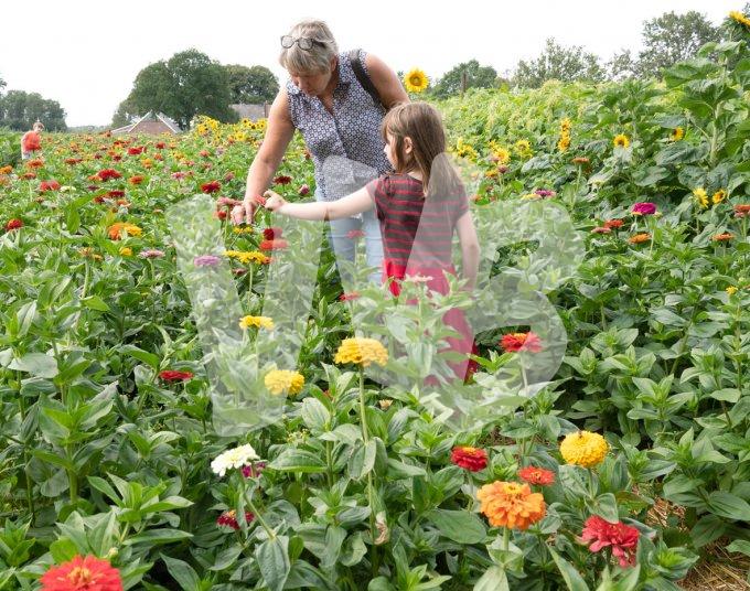 zelfpluktuin vvbvanbree 3604 