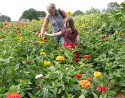 zelfpluktuin vvbvanbree 3604 