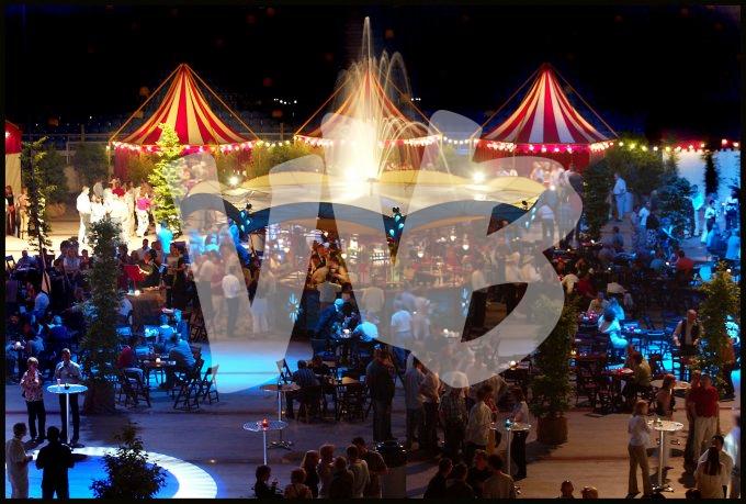 Bedrijsfeest in Het Gelredome vvbvanbree 3898