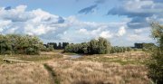vvbvanbree Ooypolder DSC09822