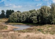 vvbvanbree Ooypolder DSC09825