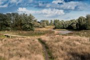 vvbvanbree Ooypolder DSC09838