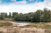 vvbvanbree Ooypolder DSC09798