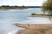 vvbvanbree Ooypolder DSC09804