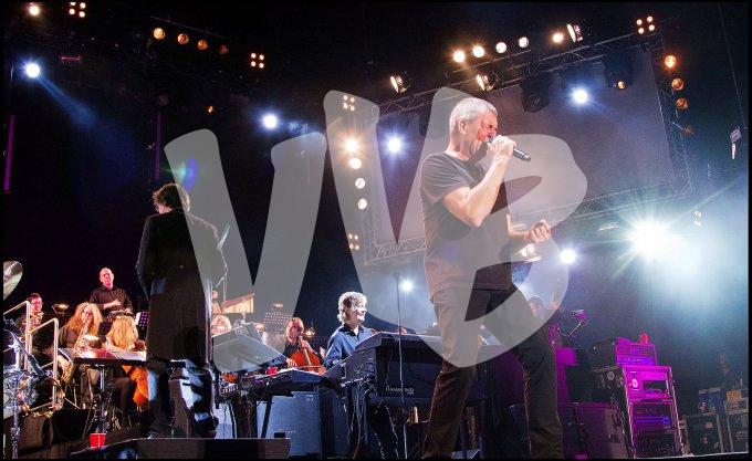 Deep Purple vvbvanbree 4656