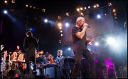 Deep Purple vvbvanbree 4656