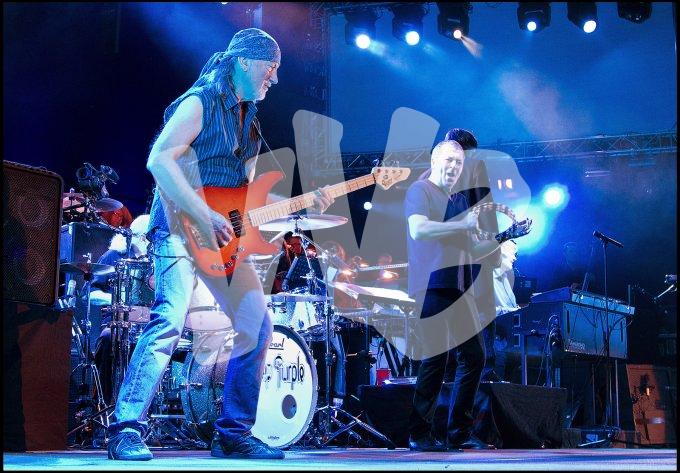 Deep Purple vvbvanbree 4657