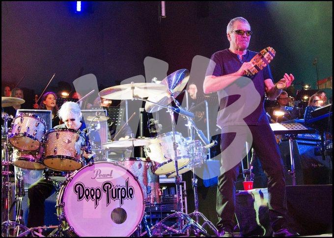 Deep Purple vvbvanbree 4659