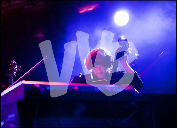 Deep Purple vvbvanbree 4661