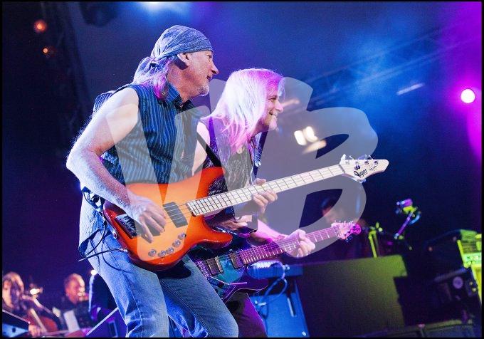 Deep Purple vvbvanbree 4664
