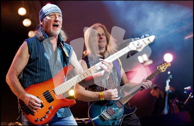 Deep Purple vvbvanbree 4665