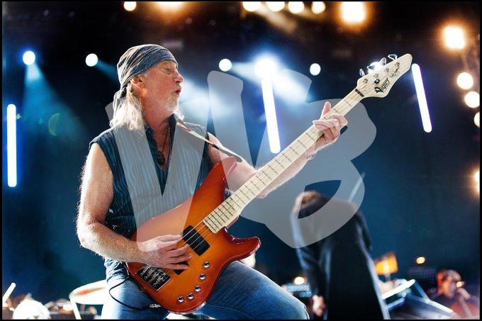 Deep Purple vvbvanbree 4666