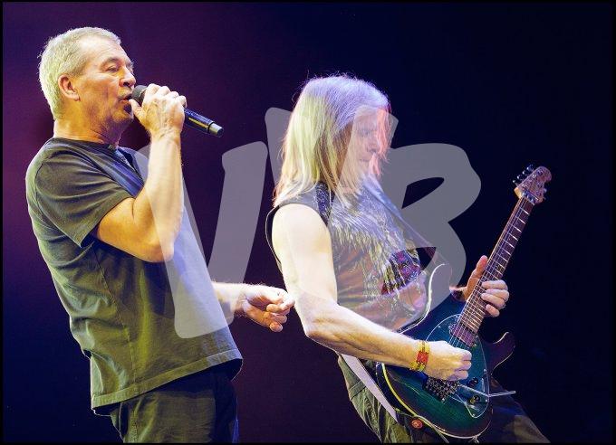 Deep Purple vvbvanbree 4668