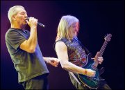 Deep Purple vvbvanbree 4668