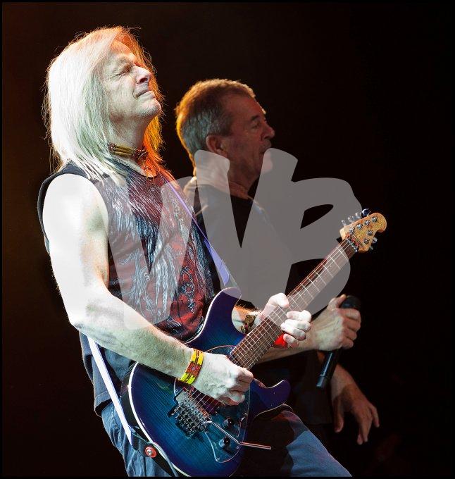 Deep Purple vvbvanbree 4669