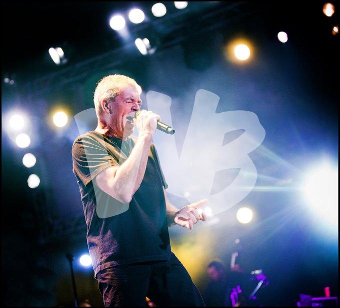 Deep Purple vvbvanbree 4670