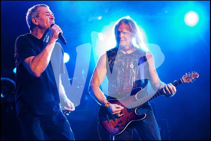 Deep Purple vvbvanbree 4675