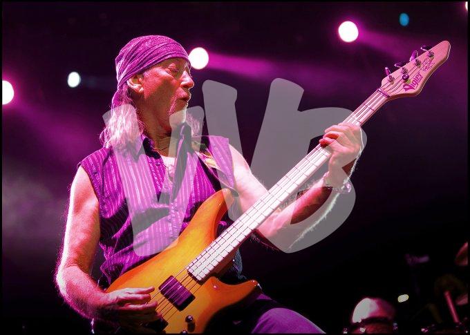 Deep Purple vvbvanbree 4676