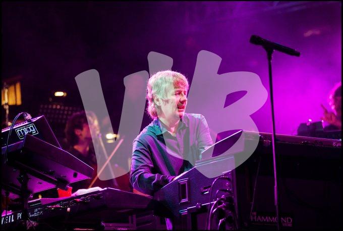 Deep Purple vvbvanbree 4677