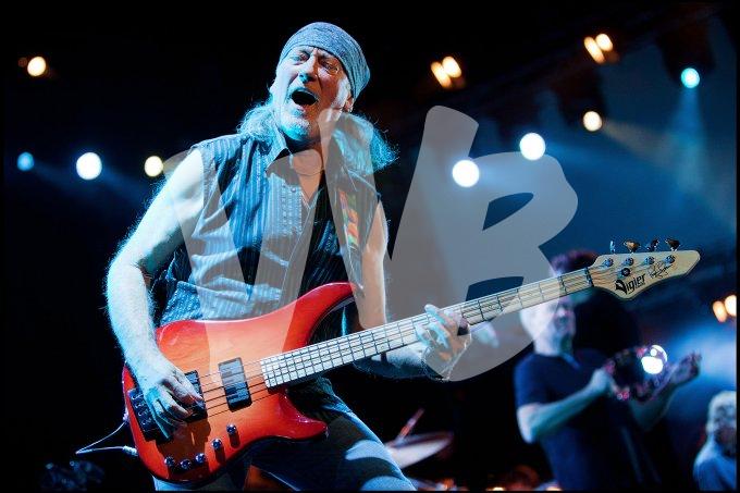 Deep Purple vvbvanbree 4679