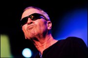 Deep Purple vvbvanbree 4682