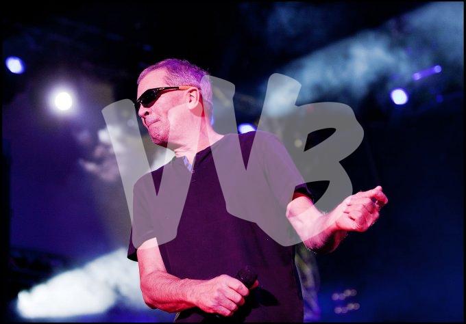 Deep Purple vvbvanbree 4683