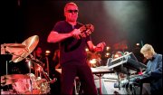 Deep Purple vvbvanbree 4685
