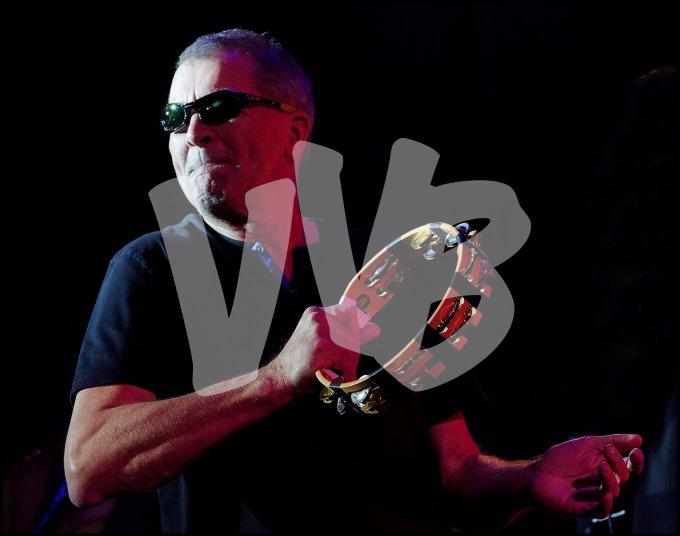 Deep Purple vvbvanbree 4686