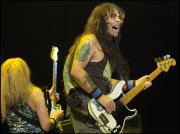 Iron Maiden  vvbvanbree 4753