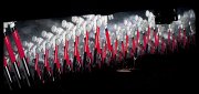 Roger Waters The Wall  vvbvanbree 4387