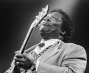 BB King op North Sea Jazz    vvbvanbree 5518