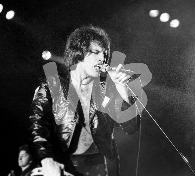 Queen in Ahoy  vvbvanbree 5568