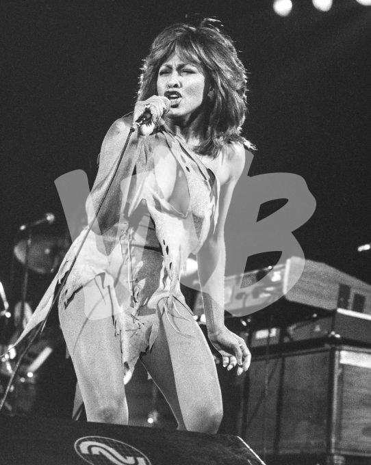 Tina Turner vvbvanbree 5546
