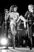 Tina Turner vvbvanbree 5550
