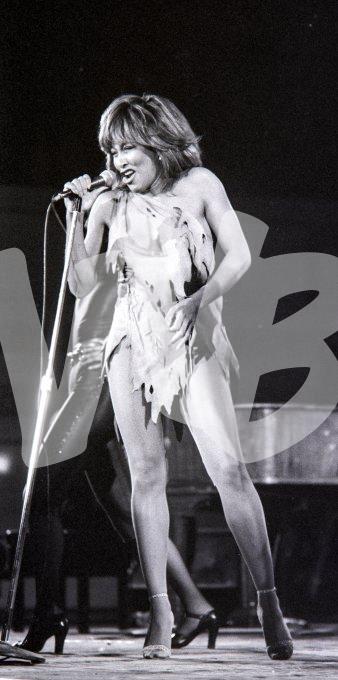 Tina Turner vvbvanbree 5551