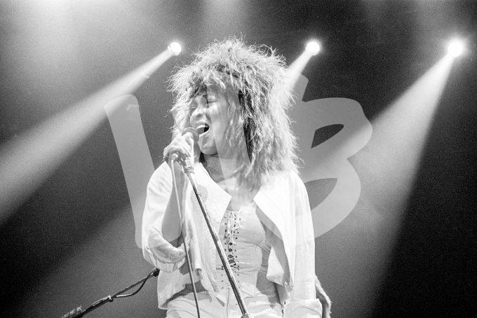 Tina Turner vvbvanbree 5553