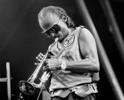 Miles Davis op North Sea  vvbvanbree5653