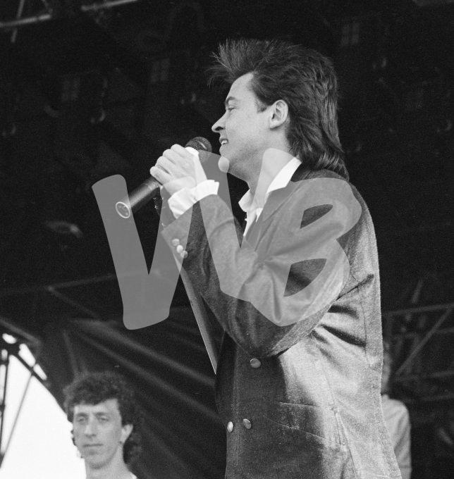 Paul Young vvbvanbree5637