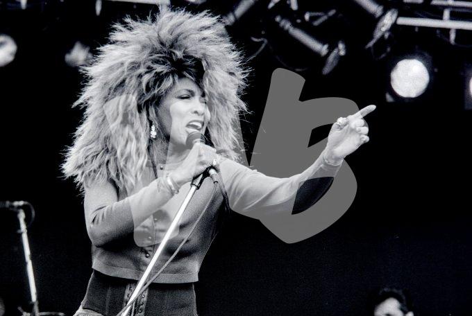 Tina Turner 2