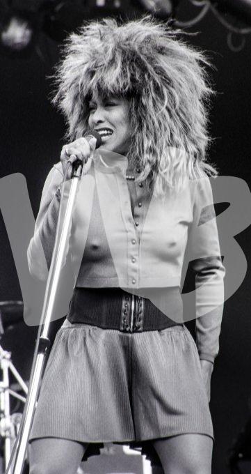Tina Turner DSC08198