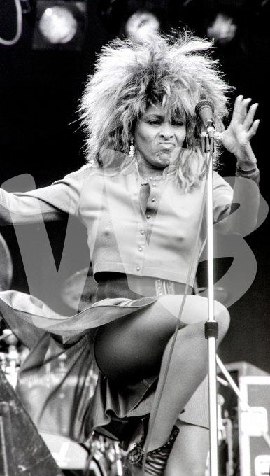 Tina Turner DSC08199