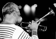©vvbvanbree dizzy gillespie DSC03553