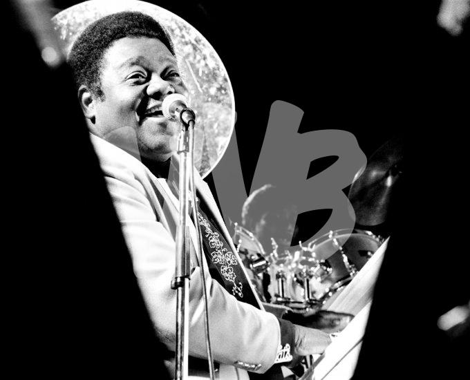 ©vvbvanbree fats domino DSC03557