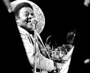 ©vvbvanbree fats domino DSC03557