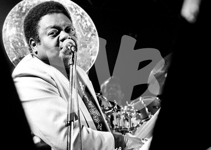 ©vvbvanbree fats domino DSC03558