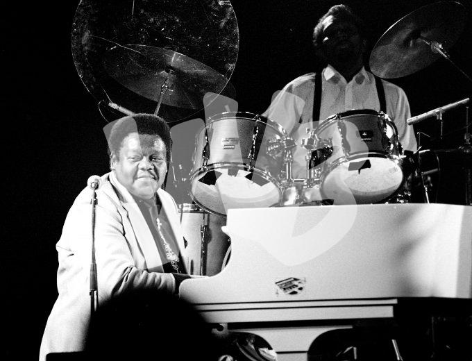 ©vvbvanbree fats domino DSC03559