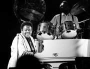 ©vvbvanbree fats domino DSC03559