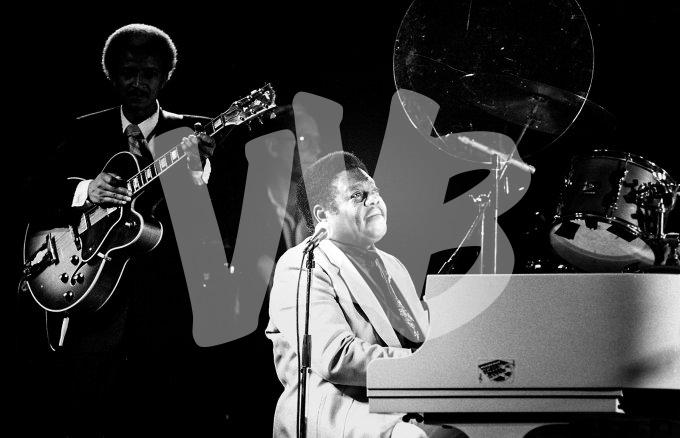 ©vvbvanbree fats domino DSC03560