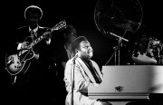 ©vvbvanbree fats domino DSC03560