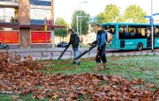 Praktijkschool vvbvanbree  5795